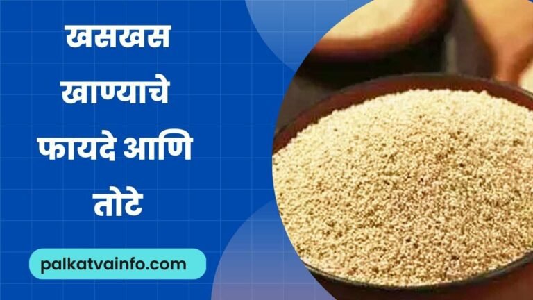 Poppy Seeds Khuskhus In Marathi