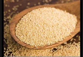 Poppy Seeds Khuskhus In Marathi :