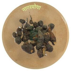 नागरमोथा