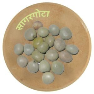 सागरगोटा