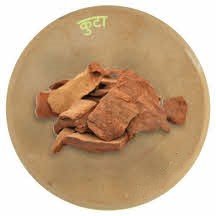 कुडा