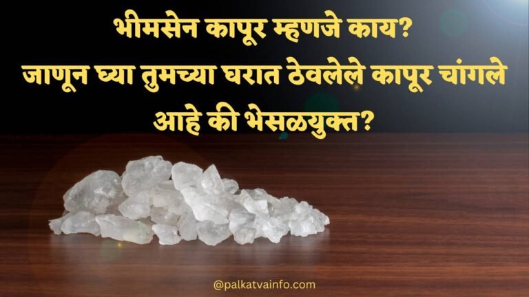 benifits of bhimsen kapoor in marathi