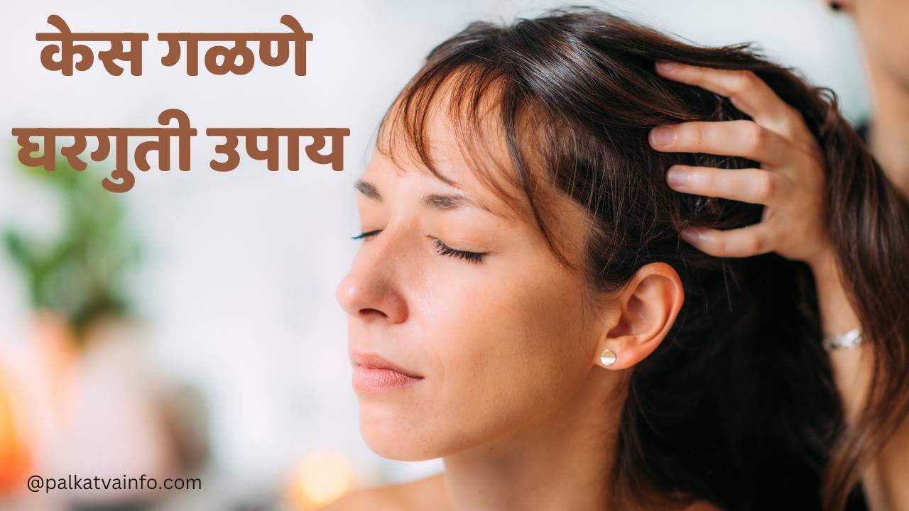home remedies on hair fall in marathi